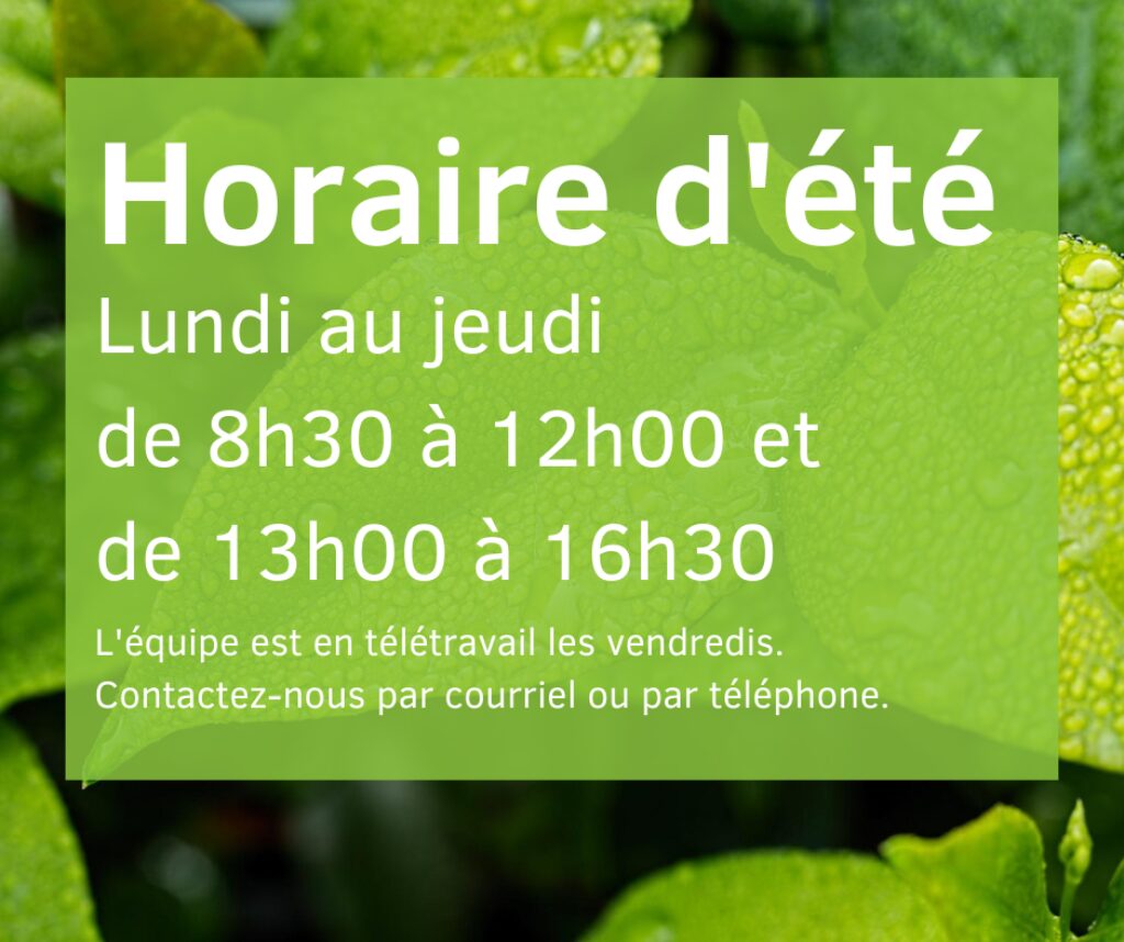 Horaire dete
