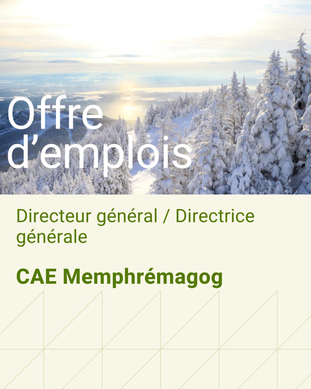 Gabarits Offre demplois